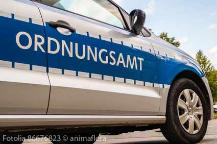 Parkraumüberwachung/Verkehrsraumüberwachung